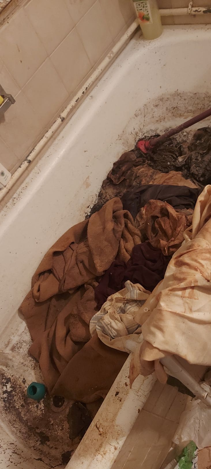 Takarítás előtte - 9.jpg